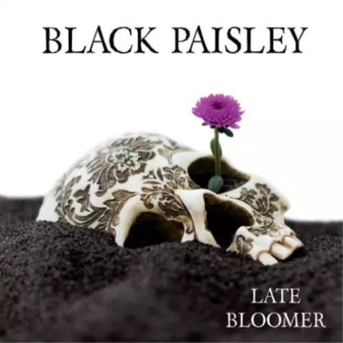 Black Paisley Late Bloomer (Vinyl) 12″ Album New