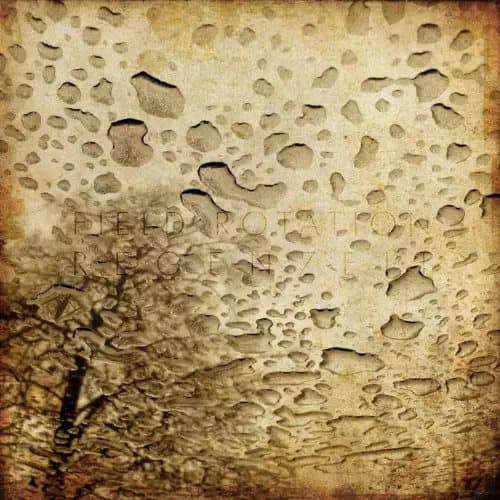 Field Rotation Regenzeit (Vinyl) New