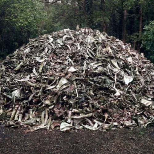 Briqueville II (Vinyl) 12″ Album New