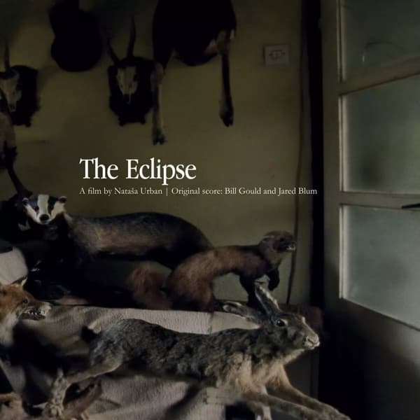 Bill Gould, Jared Blum The Eclipse (Vinyl) 12″ Album New