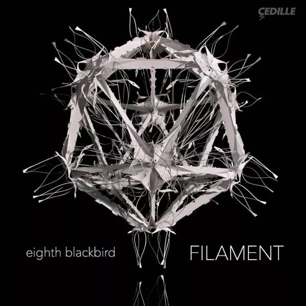 DESSNER / GLASS / LUX / MUHLY Filament (Vinyl) New