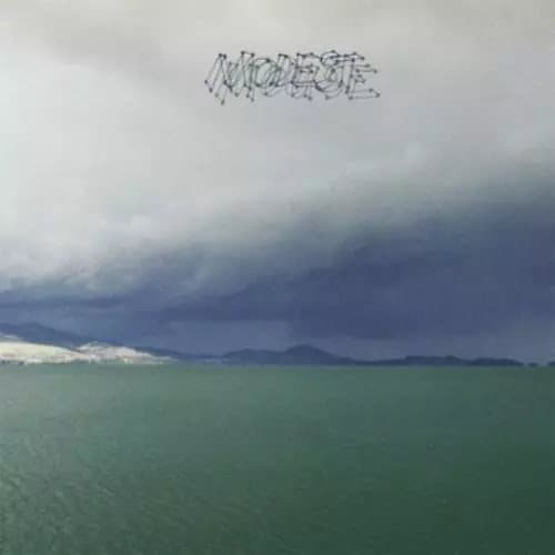 Modest Mouse The Fruit That Ate Itself (Vinyl) 12″ Album New