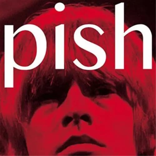 The Brian Jonestown Massacre Mini Album Thingy Wingy (Vinyl) 12″ Album New
