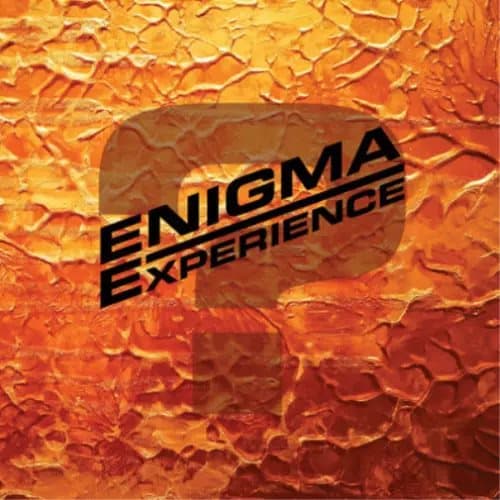 Enigma Experience ? (Vinyl) 12″ Album New