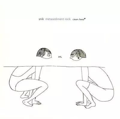 Snik Metasediment Rock (Vinyl) New