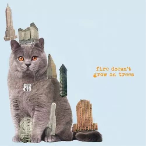 The Brian Jonestown Massacre Fire Doesn’t Grow On Trees (Vinyl) 12″ Album New