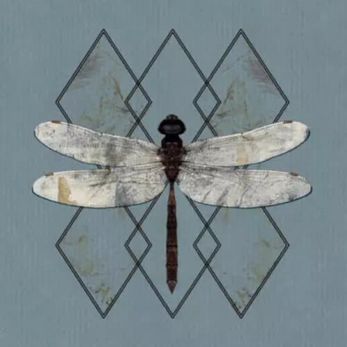 OHHMS Close (Vinyl) 12″ Album New