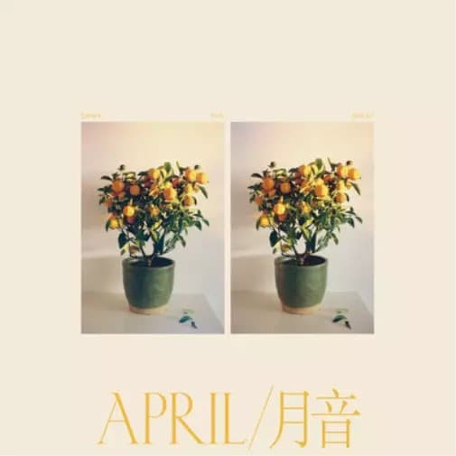 Emmy the Great April (Vinyl) 12″ Album New