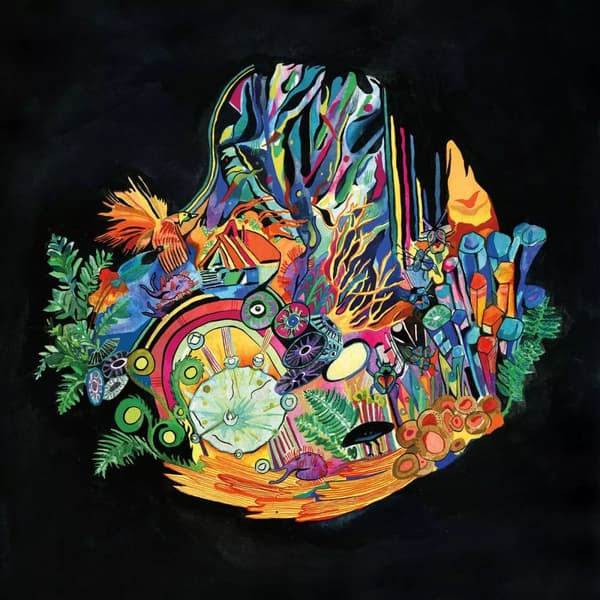 Kaitlyn Aurelia Smith Ears (Vinyl) 12″ Album New