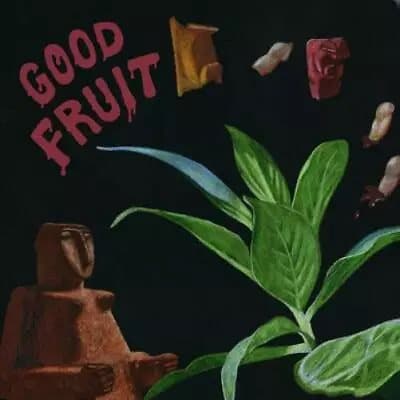 TEEN Good Fruit (Vinyl) 12″ Album New