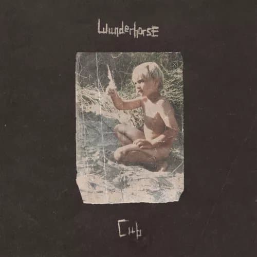 Wunderhorse Cub (Vinyl) 12″ Album New