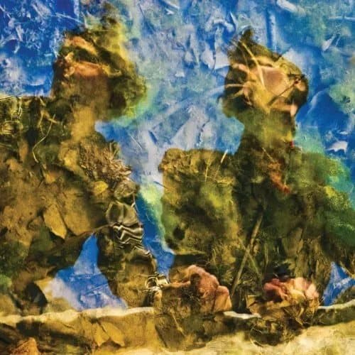 The Horse’s Ha Waterdrawn (Vinyl) New