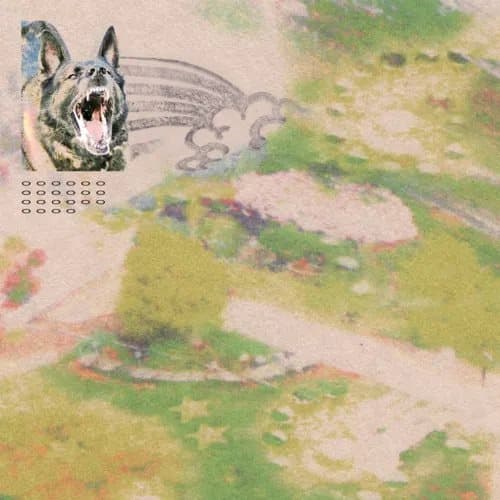 Feeble Little Horse Girl With Fish (Vinyl) 12″ Album Coloured Vinyl New
