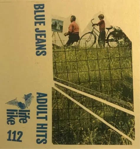 Blue Jeans Adult Hits (Vinyl) 12″ Album New