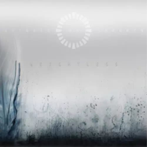Animals As Leaders Weightless (Vinyl) 12″ Album Coloured Vinyl New
