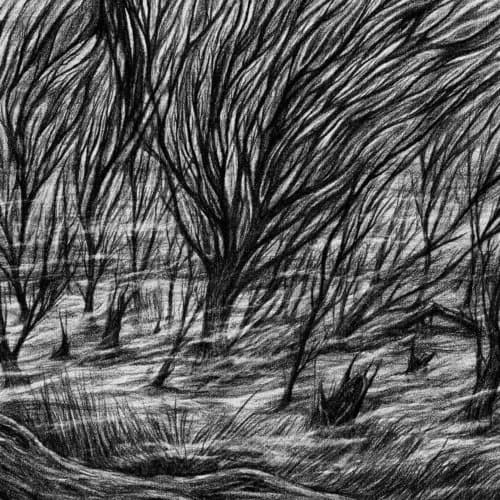 Bismuth The Eternal Marshes (Vinyl) New