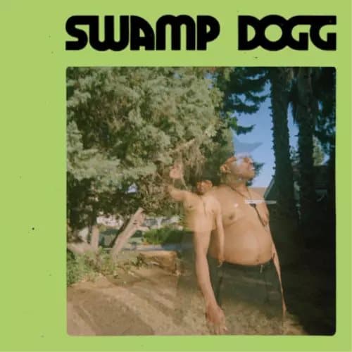 Swamp Dogg I Need a Job… So I Can Buy More Auto-tune (Vinyl) 12″ Album New