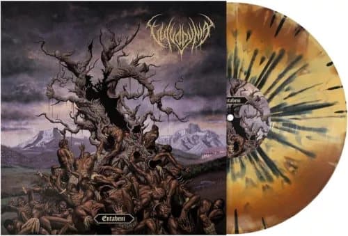 Vulvodynia Entabeni (Vinyl) 12″ Album Coloured Vinyl (Limited Edition) New