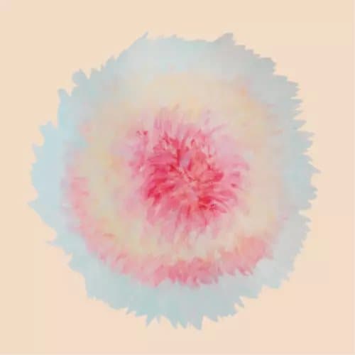 Signe Marie Rustad When Words Flew Freely (Vinyl) 12″ Album New