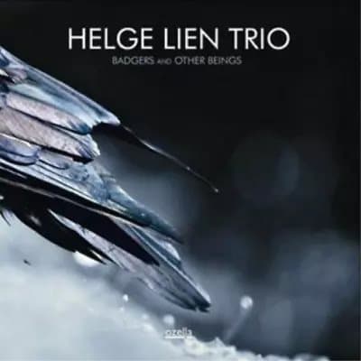 Helge Lien Trio Badgers and Other Beings (Vinyl) 12″ Album New