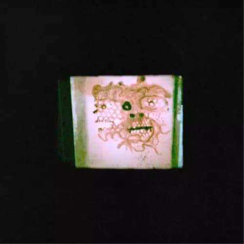 Chris Orrick & The Lasso I Read That I Was Dead (Vinyl) 12″ Album New