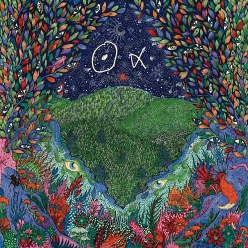 Nous Alpha A Walk In The Woods (Vinyl) New