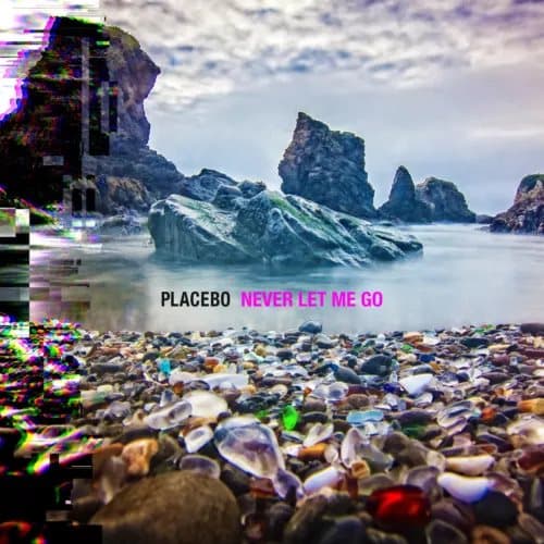 Placebo Never Let Me Go (Vinyl) 12″ Album New