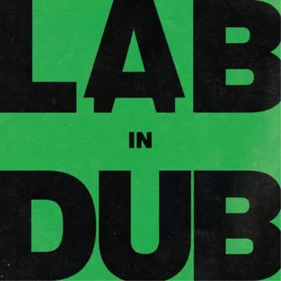 L.A.B. & Paolo Baldini DubFiles L.A.B. In Dub (Vinyl) 12″ Album New