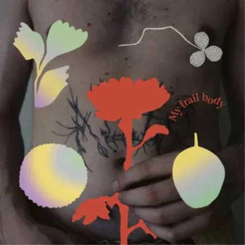 Gundelach My Frail Body (Vinyl) 12″ Album New
