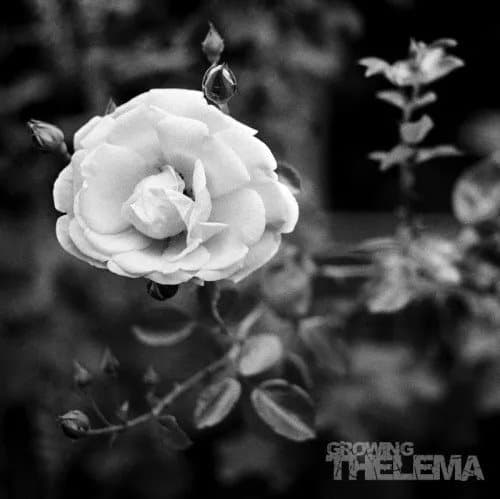 Thelema (Austria) Growing Vinyl NEW New
