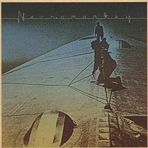 Necromonkey A Glimpse Of Possible Endings (Black) Vinyl NEW New