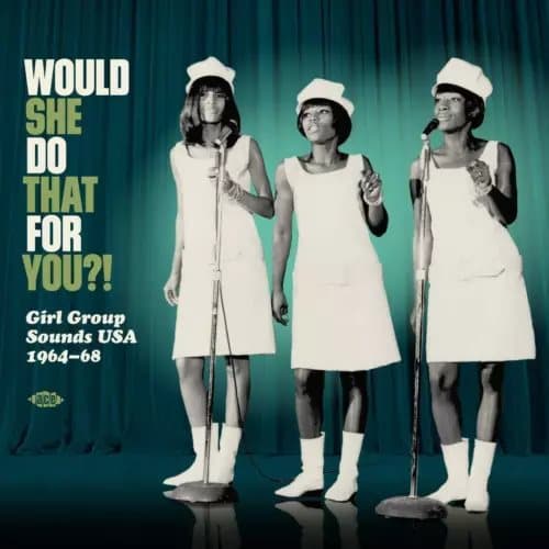 Various Artists Would She Do That for You?!: Girl Group Sounds USA 1964- (Vinyl) New