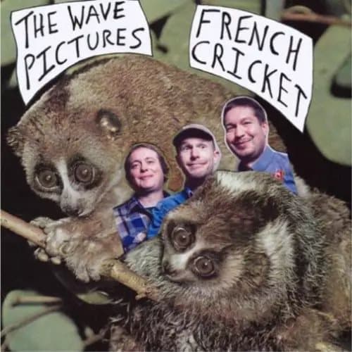The Wave Pictures French Cricket (Vinyl) 7″ Single New