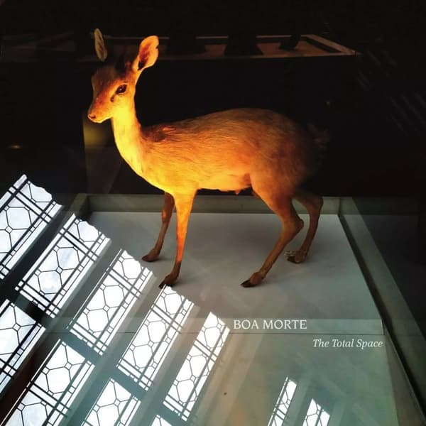 Boa Morte The Total Space (Vinyl) 12″ Album New