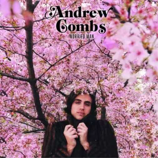 Andrew Combs Worried Man (Vinyl) 12″ Album New