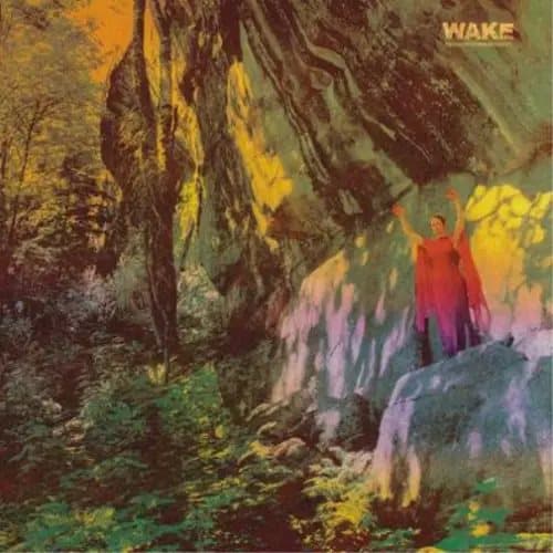 Wake Thought Form Descent (Vinyl) 12″ Album New