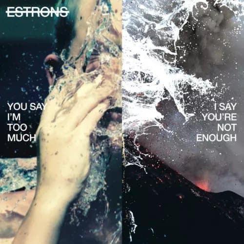 Estrons You Say I’m Too Much, I Say You’re Not Enough (Vinyl) New