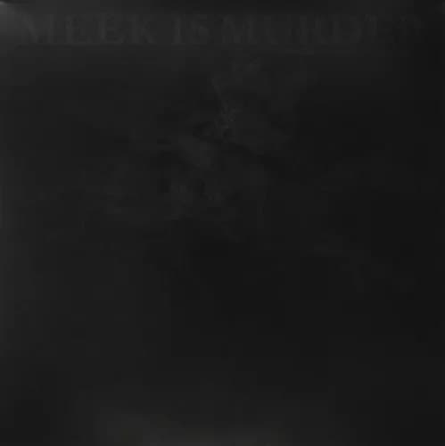 MEEK IS MURDER Everything Is Awesome Nothing Matters (Vinyl) New
