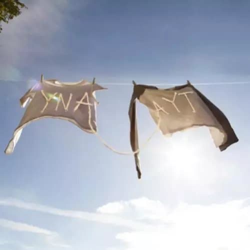 Sorority Noise Ynaayt (Vinyl) 12″ Album New