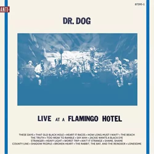Dr. Dog Live at a Flamingo Hotel (Vinyl) 12″ Album New