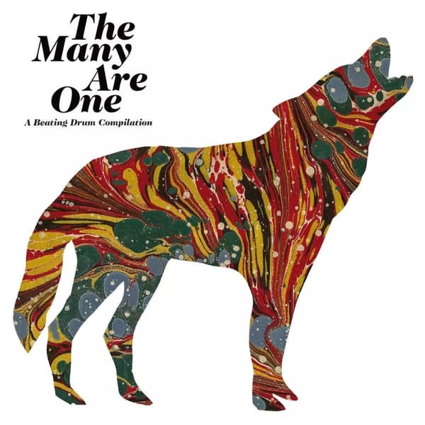 Piers Faccini The Many Are One (Vinyl) New