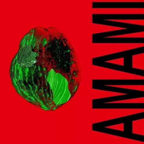 Amami Soleil (Vinyl) New