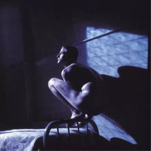 Peter Gabriel Birdy (Vinyl) 12″ Album New