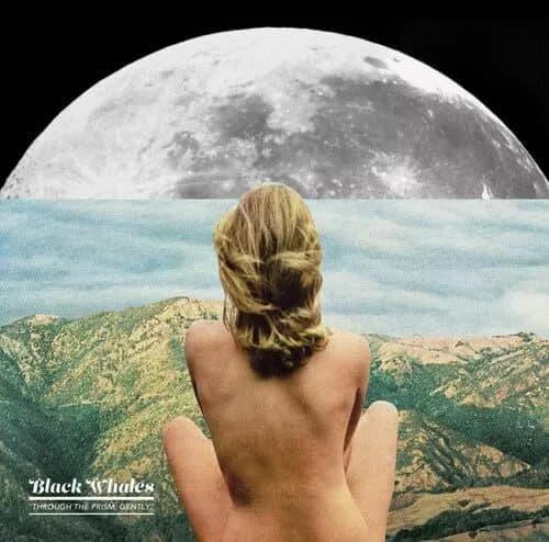 BLACK WHALES-THROUGH THE PRISM GENTLY VINYL LP NEW New