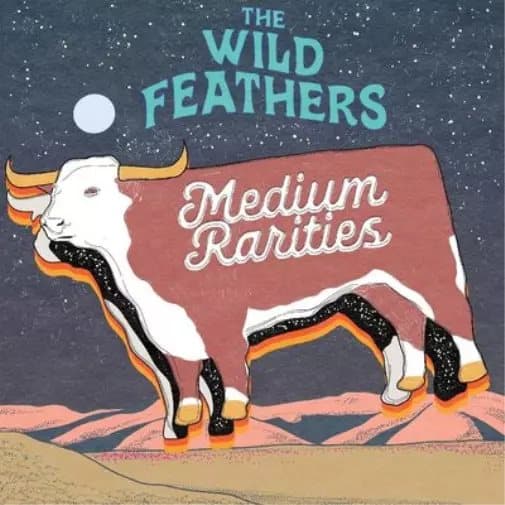 The Wild Feathers Medium Rarities (Vinyl) New