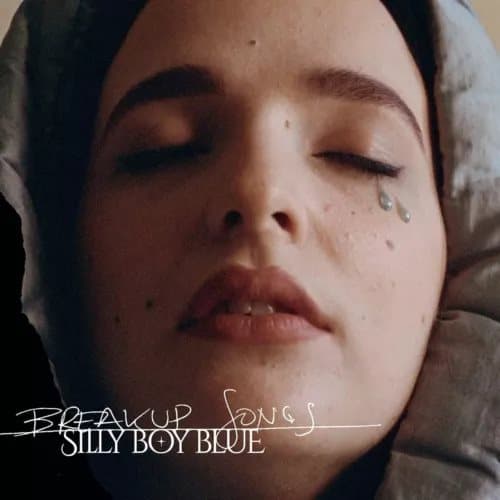 Silly Boy Blue Breakup Songs Vinyl NEW New