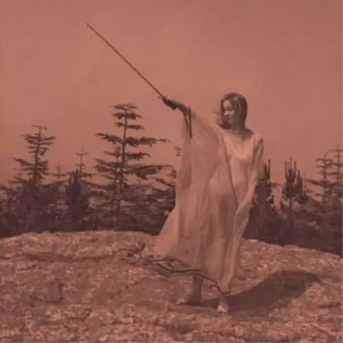 Unknown Mortal Orchestra II (Vinyl) 12″ Album New