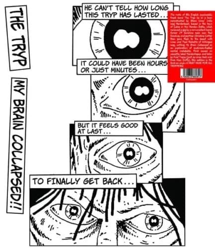 Tryp My Brain Collapsed (Vinyl) New