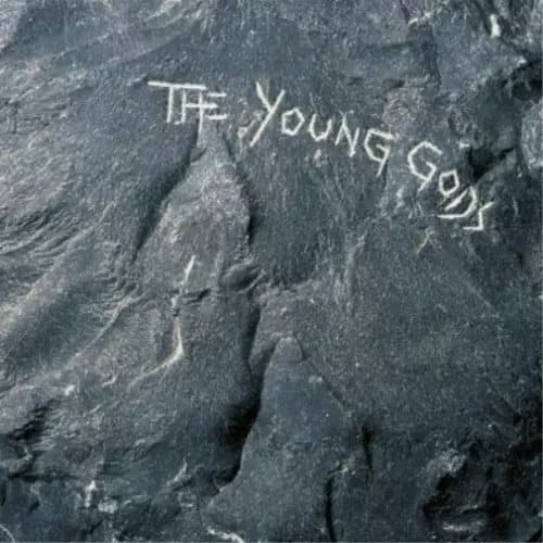 The Young Gods The Young Gods (Vinyl) 12″ Album New