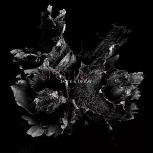 Spotlights Love & Decay (Vinyl) 12″ Album New